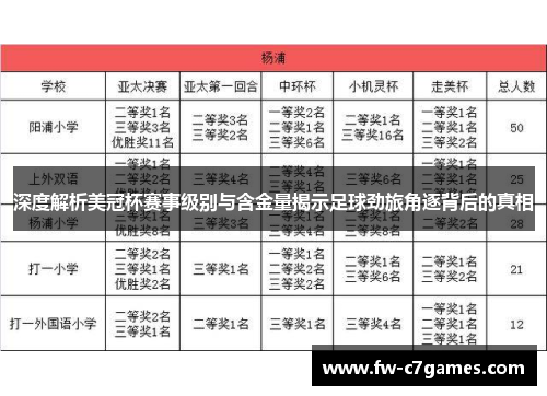 深度解析美冠杯赛事级别与含金量揭示足球劲旅角逐背后的真相