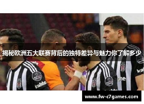 揭秘欧洲五大联赛背后的独特差异与魅力你了解多少