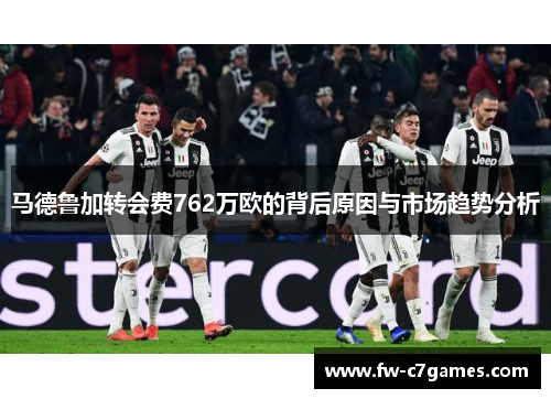 马德鲁加转会费762万欧的背后原因与市场趋势分析