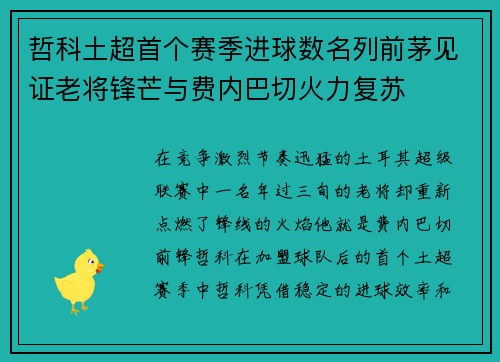 哲科土超首个赛季进球数名列前茅见证老将锋芒与费内巴切火力复苏 哲科土超首个赛季进球数名列前茅见证老将锋芒与费内巴切火力复苏